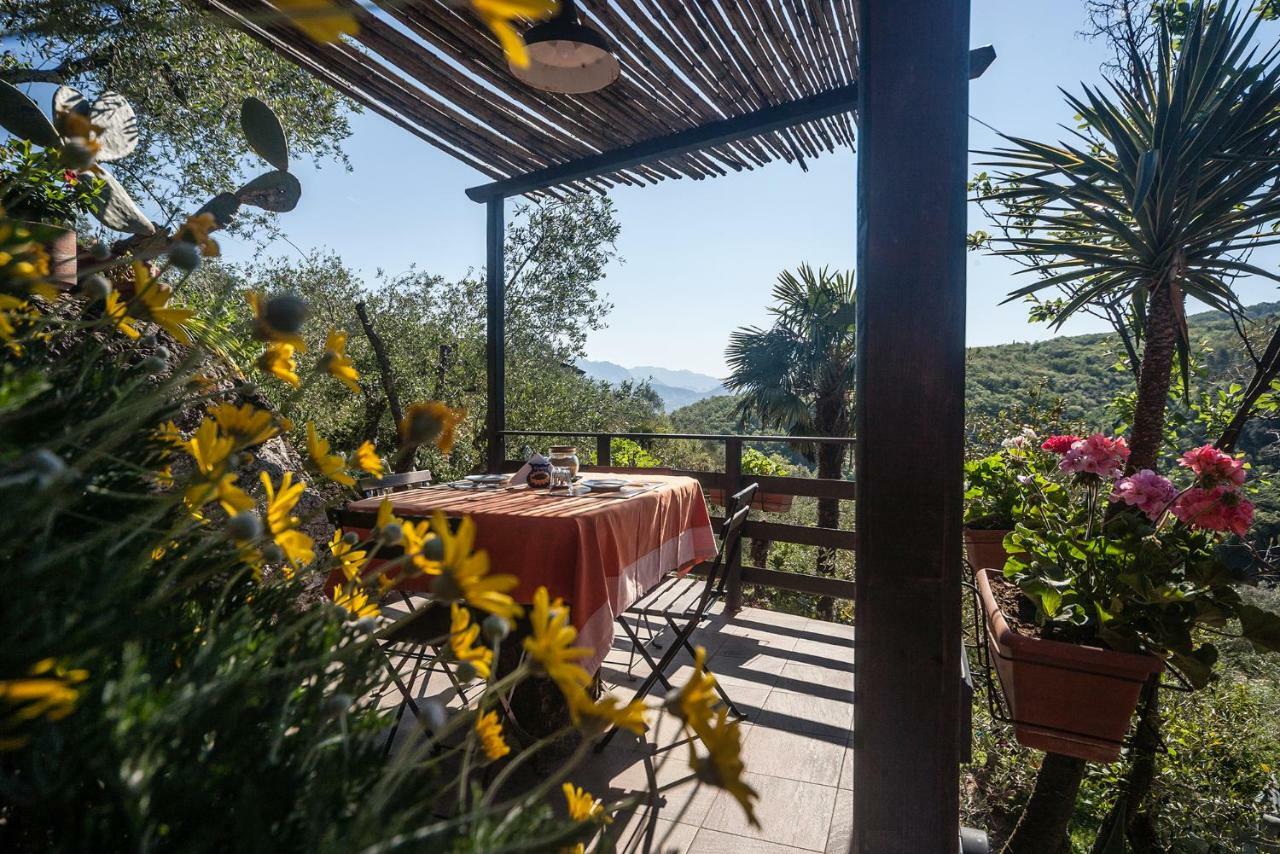 Bed and Breakfast La Fattoria Di Nonna Eugenia Lerici Exterior foto
